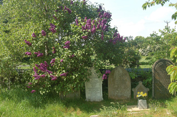 Saint Marys graveyard May 2008